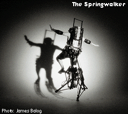 The Springwalker
